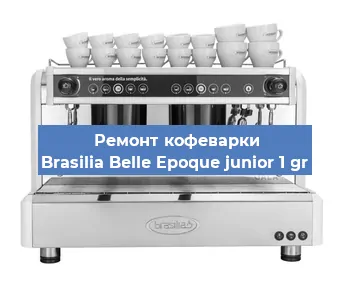 Замена жерновов на кофемашине Brasilia Belle Epoque junior 1 gr в Екатеринбурге